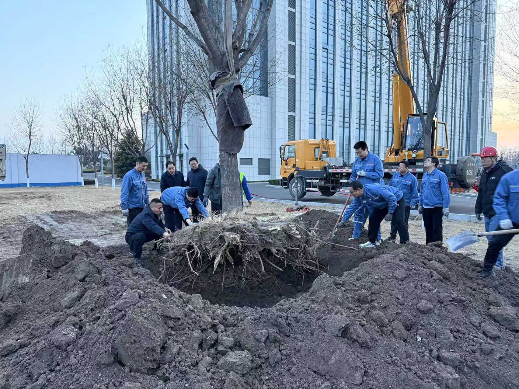 2025年3月1日永利集团304官网干部职工合力栽下新春第一树